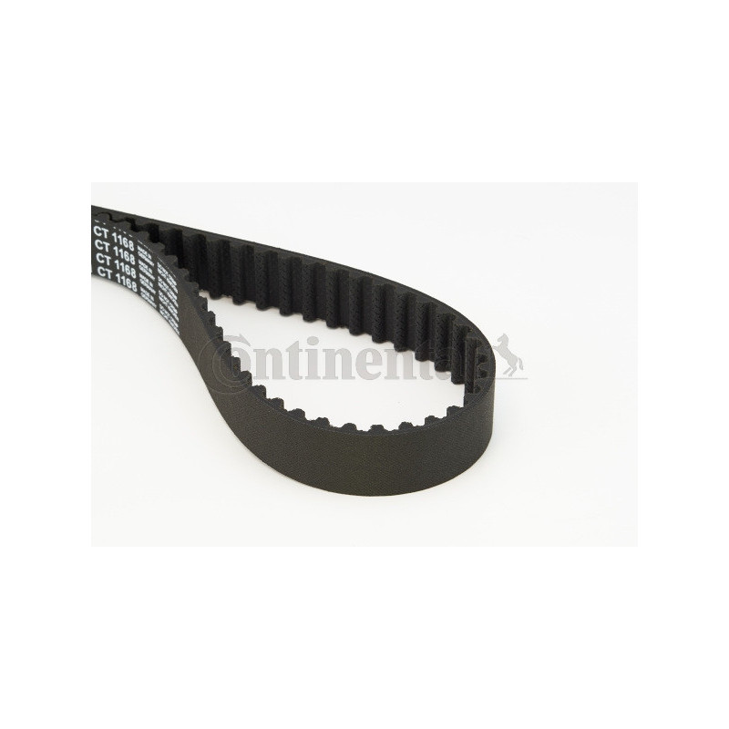 Courroie de distribution CONTINENTAL CTAM