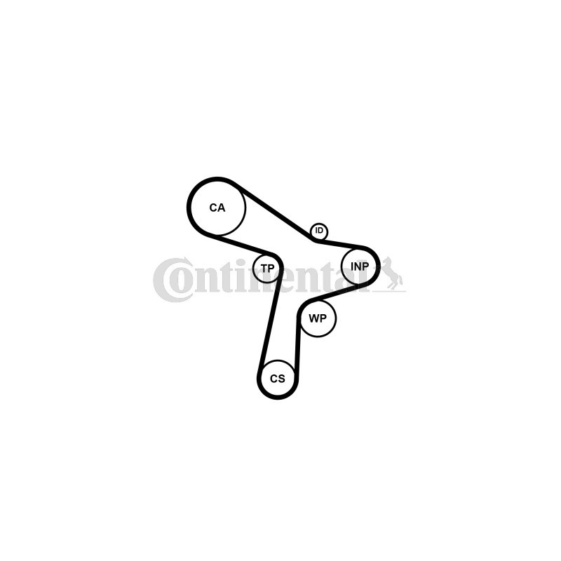Kit de distribution CONTINENTAL CTAM