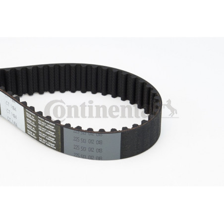 Courroie de distribution CONTINENTAL CTAM