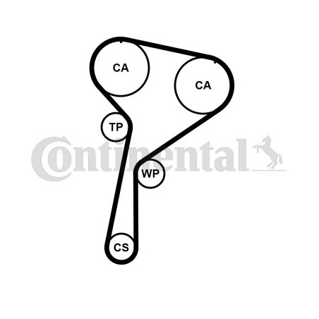 Courroie de distribution CONTINENTAL CTAM