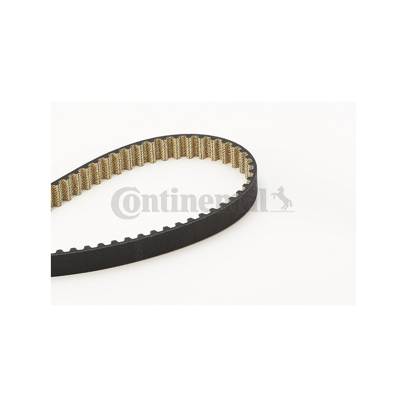 Courroie de distribution CONTINENTAL CTAM