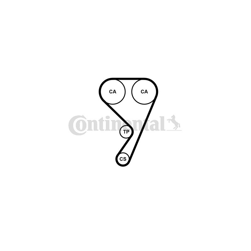 Courroie de distribution CONTINENTAL CTAM