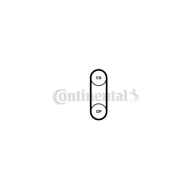 Courroie de distribution CONTINENTAL CTAM
