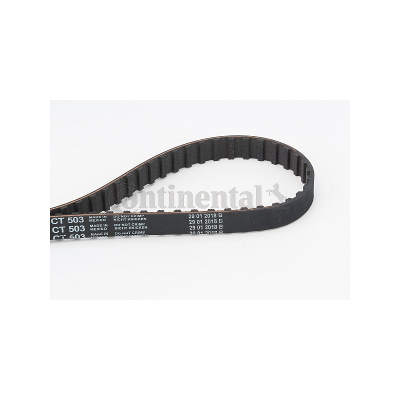Courroie de distribution CONTINENTAL CTAM