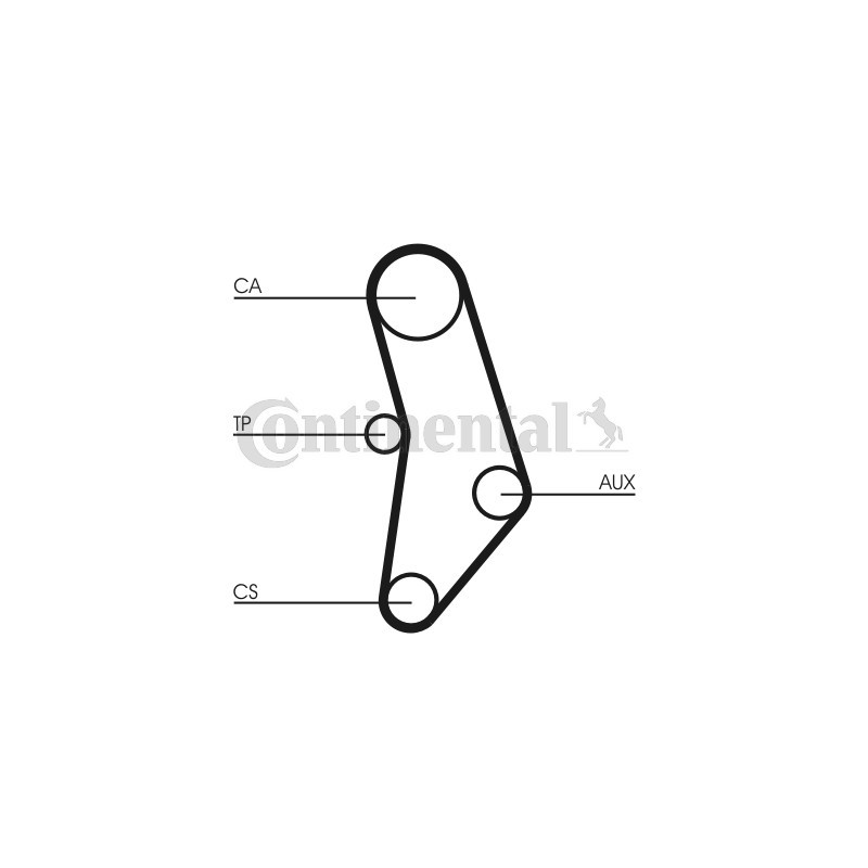 Courroie de distribution CONTINENTAL CTAM
