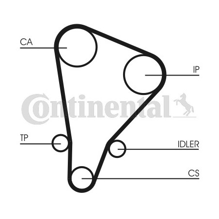 Courroie de distribution CONTINENTAL CTAM