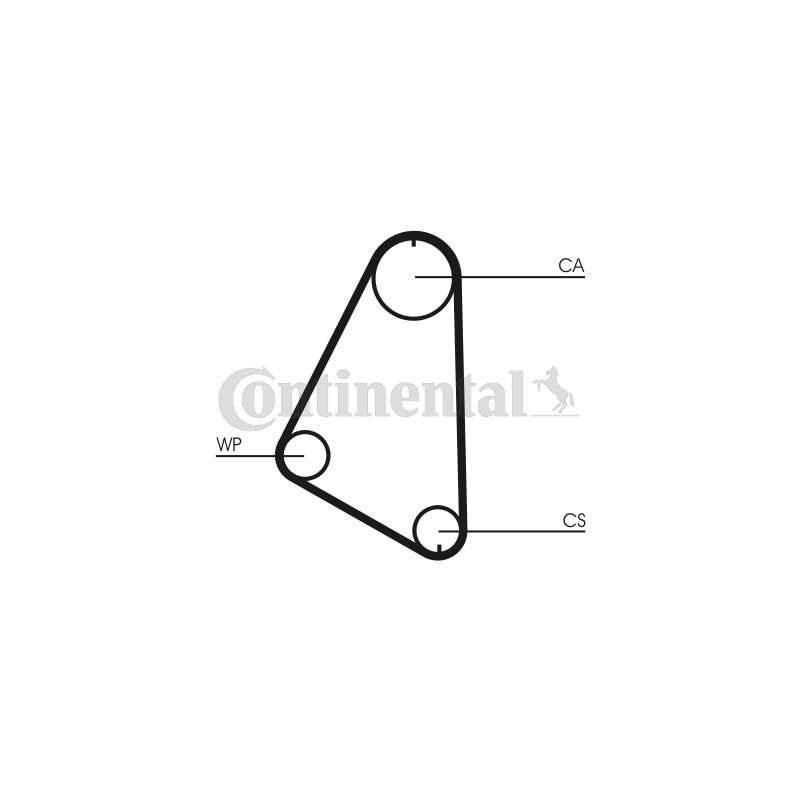 Courroie de distribution CONTINENTAL CTAM