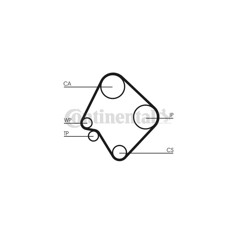 Courroie de distribution CONTINENTAL CTAM