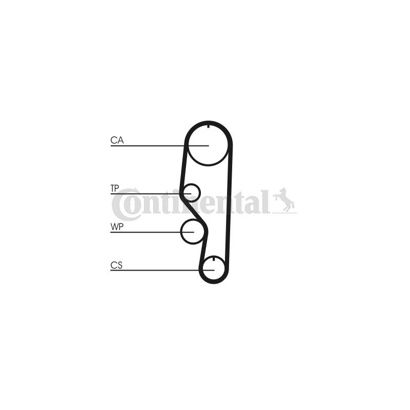 Courroie de distribution CONTINENTAL CTAM