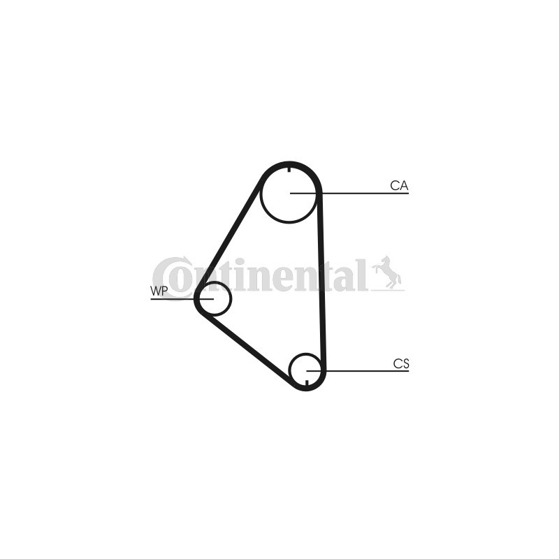 Courroie de distribution CONTINENTAL CTAM