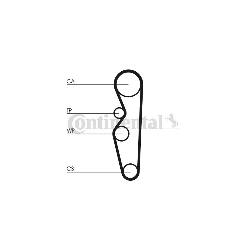 Courroie de distribution CONTINENTAL CTAM