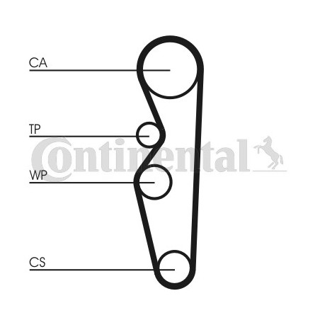 Courroie de distribution CONTINENTAL CTAM