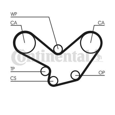 Courroie de distribution CONTINENTAL CTAM