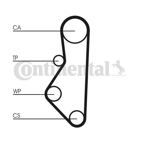 Courroie de distribution CONTINENTAL CTAM
