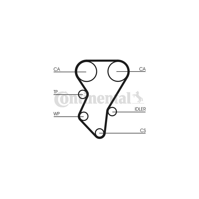 Courroie de distribution CONTINENTAL CTAM
