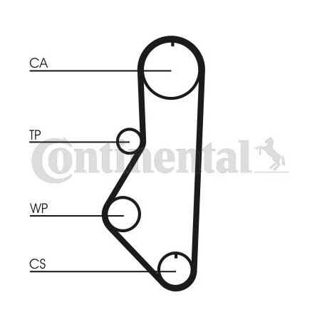 Courroie de distribution CONTINENTAL CTAM