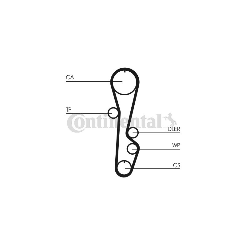 Courroie de distribution CONTINENTAL CTAM