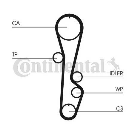 Courroie de distribution CONTINENTAL CTAM