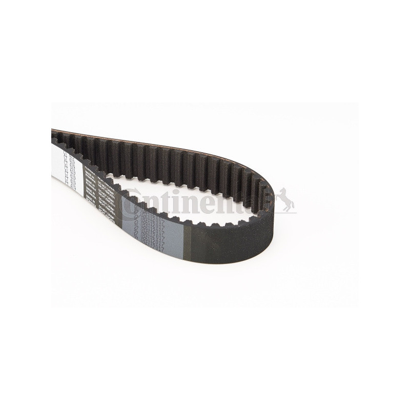 Courroie de distribution CONTINENTAL CTAM