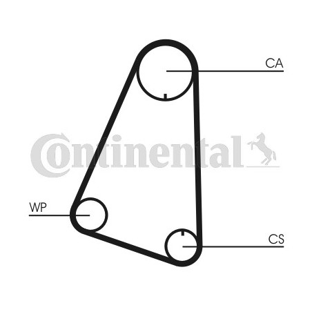 Courroie de distribution CONTINENTAL CTAM