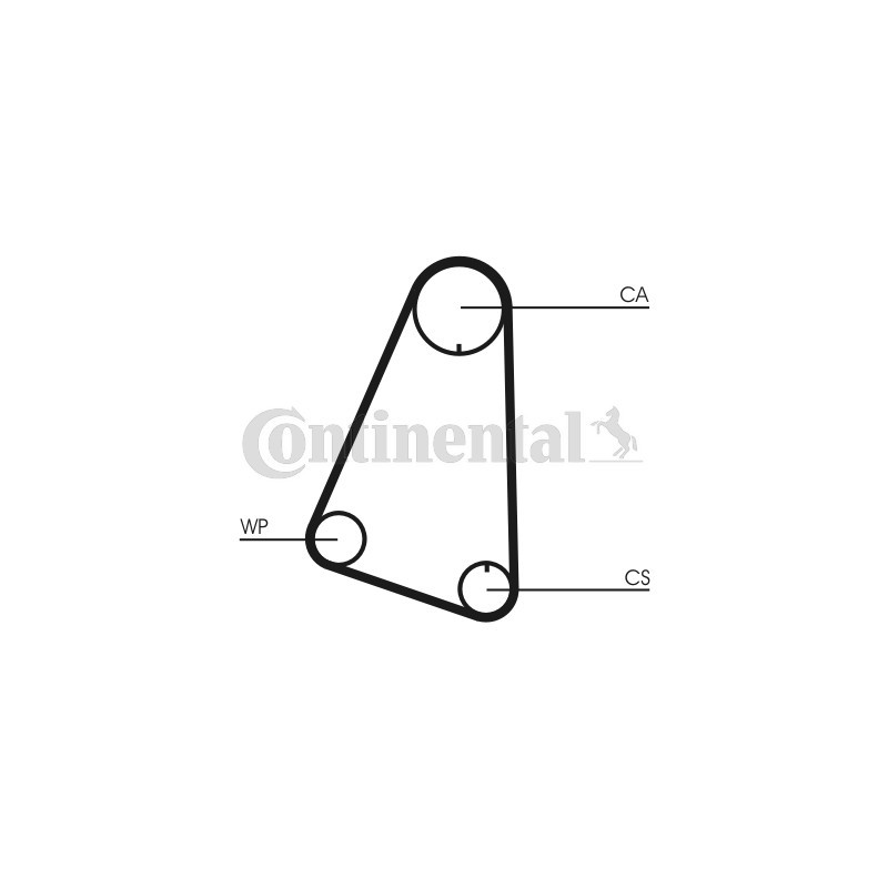 Kit de distribution + pompe à eau CONTINENTAL CTAM
