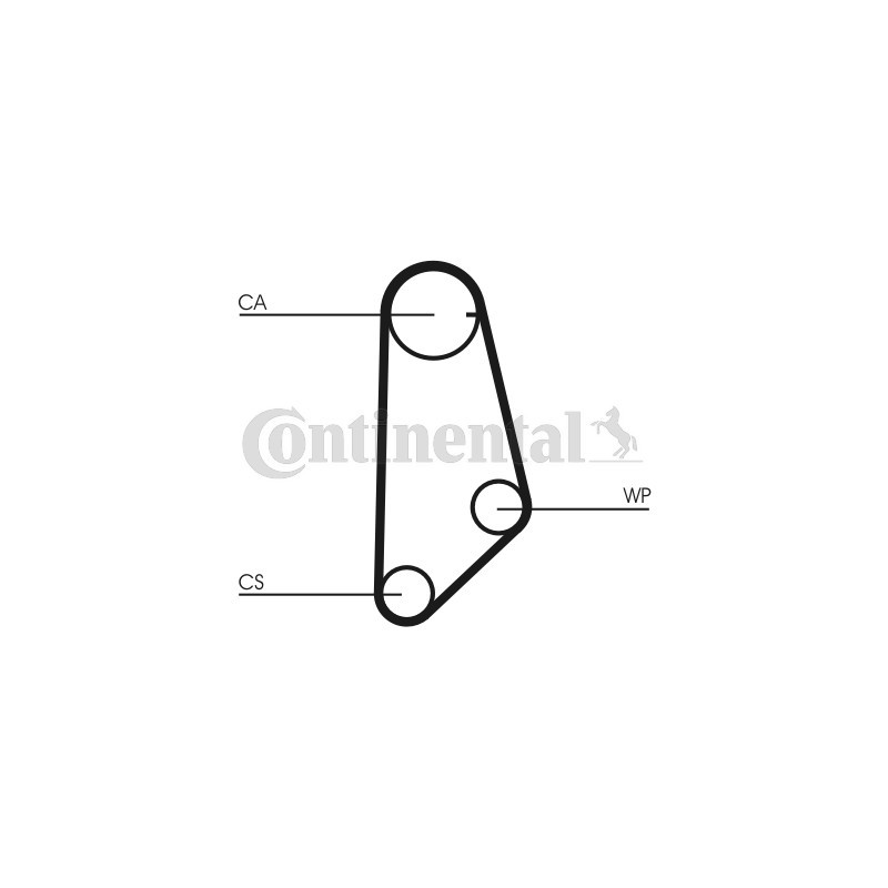 Courroie de distribution CONTINENTAL CTAM