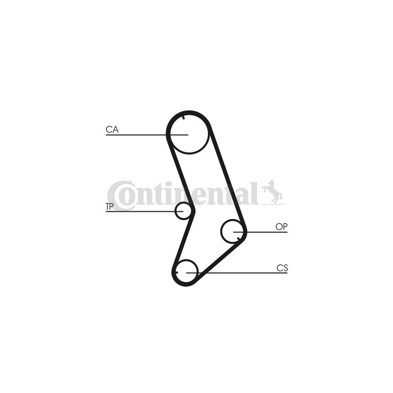 Courroie de distribution CONTINENTAL CTAM