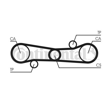 Courroie de distribution CONTINENTAL CTAM