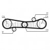 Courroie de distribution CONTINENTAL CTAM