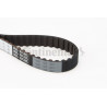 Courroie de distribution CONTINENTAL CTAM