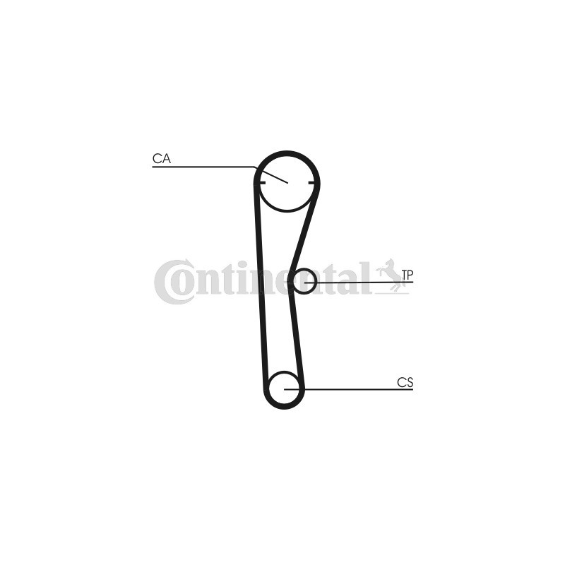 Courroie de distribution CONTINENTAL CTAM