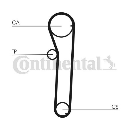 Courroie de distribution CONTINENTAL CTAM
