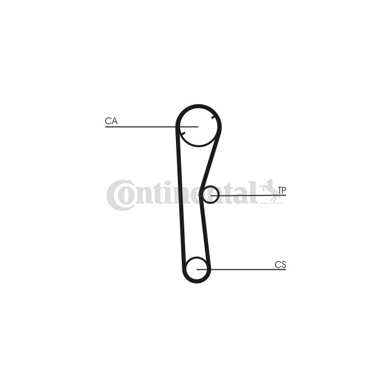 Courroie de distribution CONTINENTAL CTAM