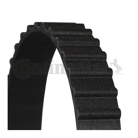 Courroie de distribution CONTINENTAL CTAM