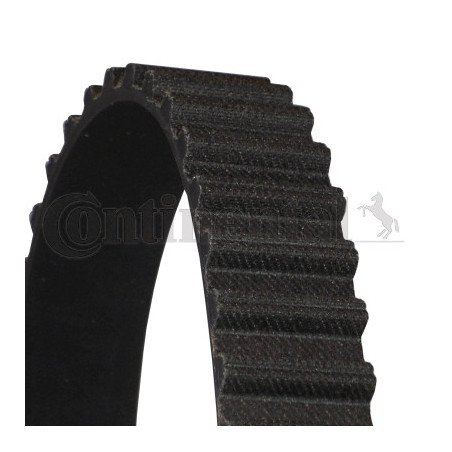 Courroie de distribution CONTINENTAL CTAM