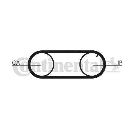 Kit de distribution + pompe à eau CONTINENTAL CTAM