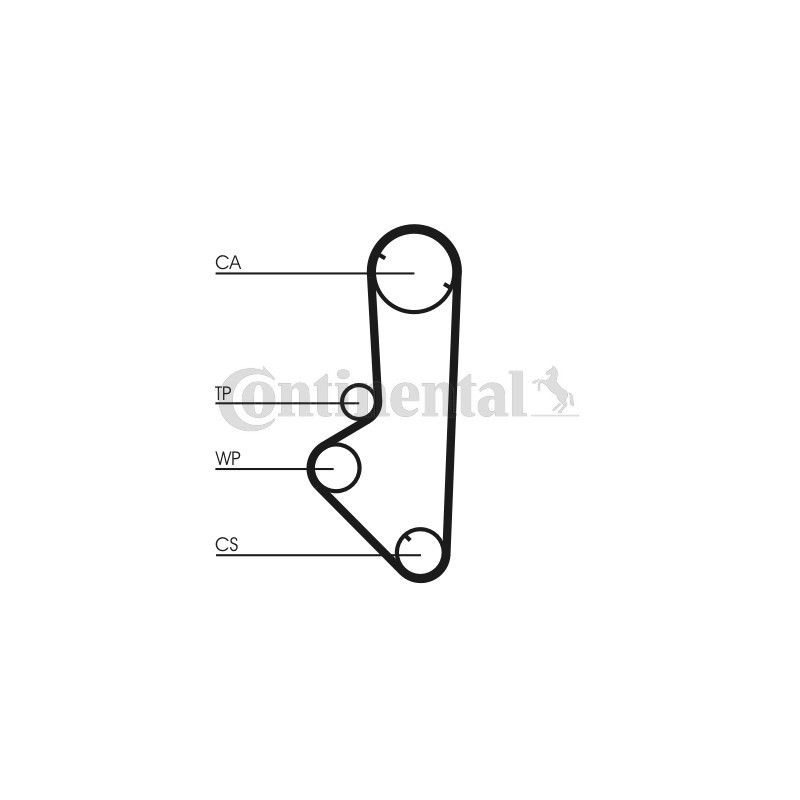 Courroie de distribution CONTINENTAL CTAM