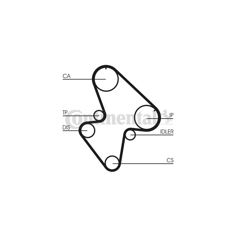 Courroie de distribution CONTINENTAL CTAM