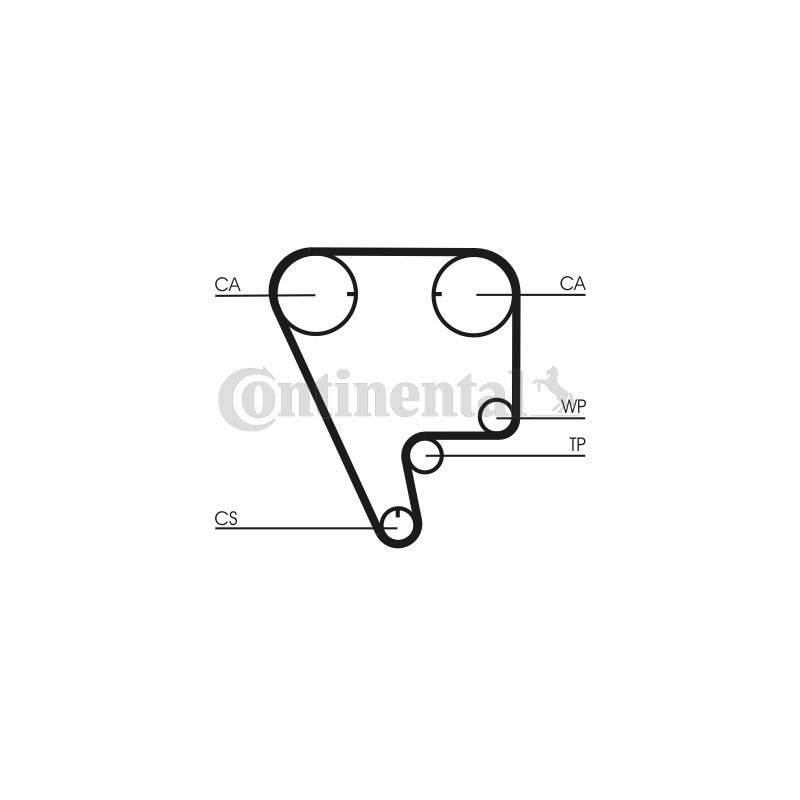 Courroie de distribution CONTINENTAL CTAM