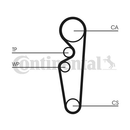 Courroie de distribution CONTINENTAL CTAM