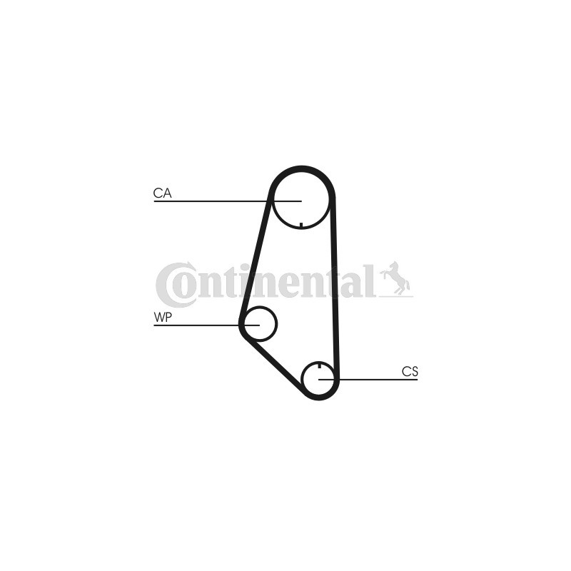 Courroie de distribution CONTINENTAL CTAM