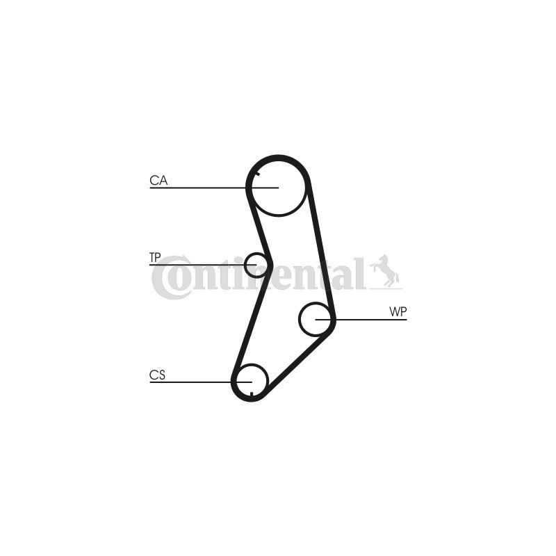 Courroie de distribution CONTINENTAL CTAM