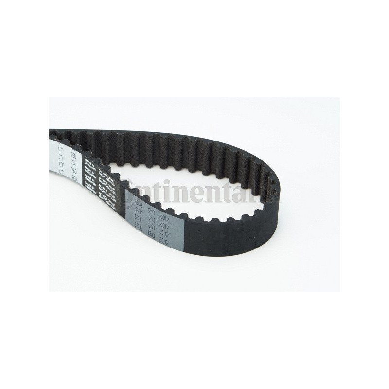 Courroie de distribution CONTINENTAL CTAM
