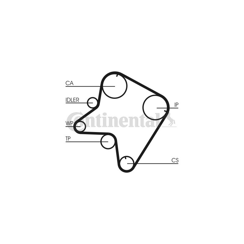 Courroie de distribution CONTINENTAL CTAM