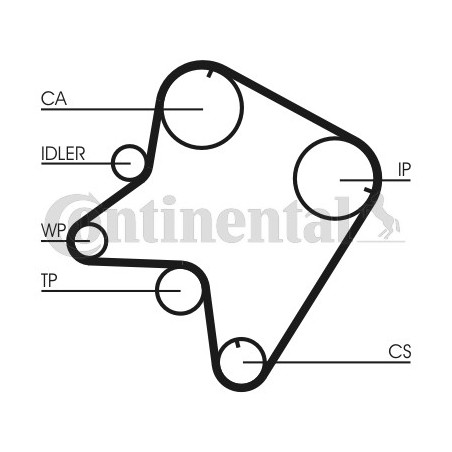 Courroie de distribution CONTINENTAL CTAM