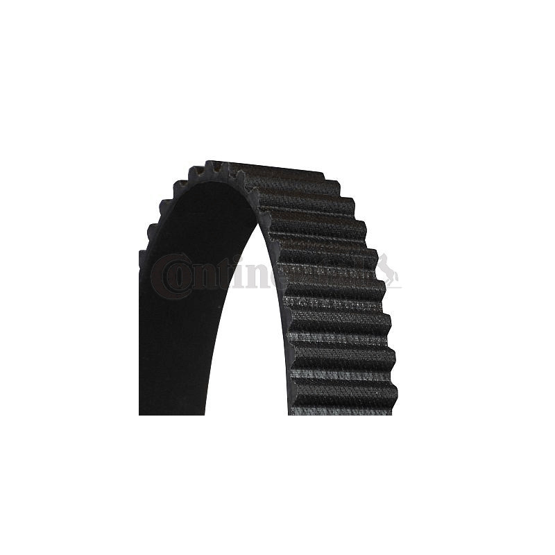Courroie de distribution CONTINENTAL CTAM