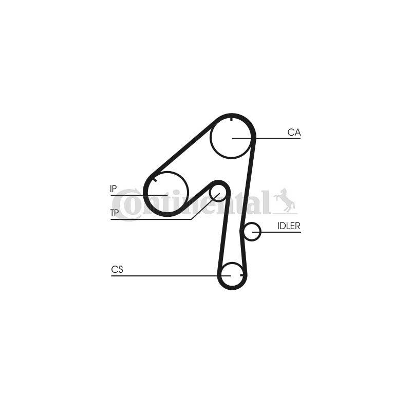 Courroie de distribution CONTINENTAL CTAM