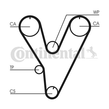 Courroie de distribution CONTINENTAL CTAM