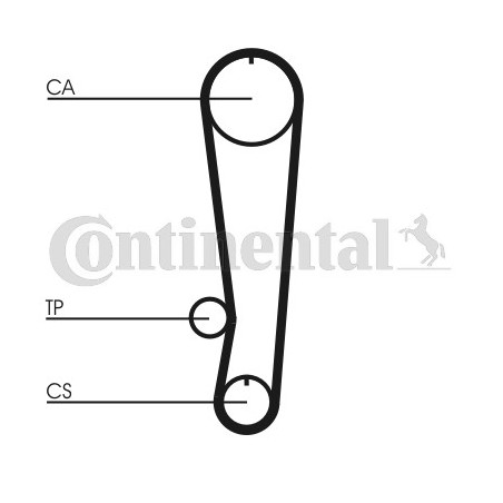 Courroie de distribution CONTINENTAL CTAM