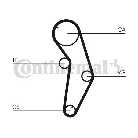Courroie de distribution CONTINENTAL CTAM